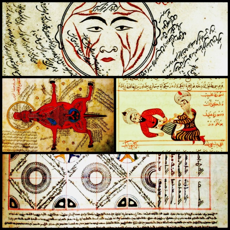 Medicine in the medieval Islamic world